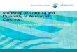 5 april 2004 J.M. Zwarthoed Workshop on Cracking and Durability of Reinforced Concrete Concerning the Serviceability Limit State