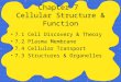Chapter 7 Cellular Structure & Function 7.1 Cell Discovery & Theory 7.2 Plasma Membrane 7.4 Cellular Transport 7.3 Structures & Organelles