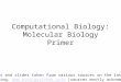 Computational Biology: Molecular Biology Primer Figures and slides taken from various sources on the internet including,  (sources