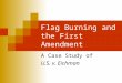 Flag Burning and the First Amendment A Case Study of U.S. v. Eichman