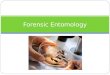 Forensic Entomology. What is Forensic Entomology? The use of insects that inhabit decomposing remains to aid in legal investigations. An entomologist