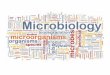 The following list of some of the general areas in which the expertise of a microbiologist might be used: medicine environmental science food and drink