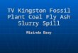 TV Kingston Fossil Plant Coal Fly Ash Slurry Spill Mirinda Bray
