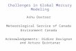 Challenges in Global Mercury Modeling Ashu Dastoor Meteorological Service of Canada Environment Canada Acknowledgements: Didier Davignon and Arturo Quintanar