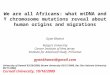We are all Africans: what mtDNA and Y chromosome mutations reveal about human origins and migrations Gyan Bhanot Rutgers University Cancer Institute of