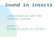 Sound in insects Communication and the nervous system