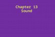 Chapter 13 Sound. Sound is a compressional wave created by a disturbance or vibration that compresses molecules