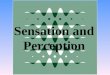Sensation and Perception. Sensation process by which our sensory systems receive stimuliThe process by which our sensory systems (eyes, ears, and other