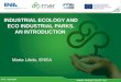 INDUSTRIAL ECOLOGY AND ECO INDUSTRIAL PARKS. AN INTRODUCTION Faro, 1 April 2014 Maria Litido, ENEA