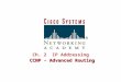 Ch. 2 IP Addressing CCNP - Advanced Routing. IPv4 Address Classes Class A Class B Class C NetworkHost Network Host Network Host 1st octet2nd octet3rd