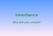 Inheritance Why are you unique?. Inheritance What we are like depends on the genes we inherit from our parents What we are like depends on the genes we