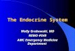 The Endocrine System Wally Grabowski, MD REMO #549 AMC Emergency Medicine Department