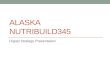 ALASKA NUTRIBUILD345 Digital Strategy Presentation