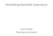 Promoting Domestic Commerce Sana Shahid Planning Commission