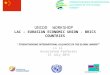UNIDO WORKSHOP LAC – E URASIAN E CONOMIC U NION - BRICS COUNTRIES “ STRENGTHENING INTERNATIONAL ALLIANCES IN THE GLOBAL MARKET” Li Li Associated Professor