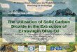 The Utilisation of Solid Carbon Dioxide in the Extraction of Extravirgin Olive Oil Venturi F. 1, Andrich G. 1, Sanmartin C. 1, Zoani C. 2, Zappa G. 2,