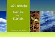 Salt Spreader Gasoline vs Electric Presented by: Stan Sadowski