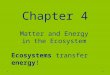 Chapter 4 Matter and Energy in the Ecosystem 1 Ecosystems transfer energy!