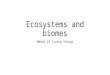 Ecosystems and biomes Needs of living things. Objectives Student will be able to: Describe the basic needs of living organisms Define Ecosystems and Biomes