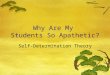 Why Are My Students So Apathetic? Self-Determination Theory