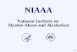 National Institute on Alcohol Abuse and Alcoholism 1-04
