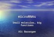 MicroRNAs Small molecules, big functions Ali Bazargan