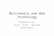 Multimedia and Web Technology Prepared by: Asst. Prof. Maryam Eskandari