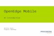 OpenEdge Mobile An Introduction Shelley Chase Progress OpenEdge