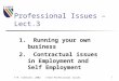 © M. Scheurer, 2002CT218 Professional Issues1 Professional Issues – Lect.3 1. Running your own business 2. Contractual issues in Employment and Self Employment