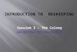 Session 3 – The Colony Sat 22 nd /Sun 23 rd March 2014