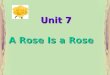 A Rose Is a Rose Unit 7. Stage 1: Warming-up Activities Stage 2: Reading-Centred Activities Stage 3: Vocabulary Exercises Stage 4: Translating and Writing