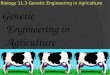 11/7/2009 Biology 11.3 Genetic Engineering in Agriculture Genetic Engineering in Agriculture