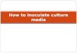 How to inoculate culture media. Inoculation From Latin word “Inoculare” which means to implant or to introduce. It means to implant or introduce microorganisms