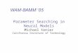 WAM-BAMM '05 Parameter Searching in Neural Models Michael Vanier California Institute of Technology