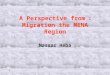 1 A Perspective from : Migration the MENA Region Nassar Heba
