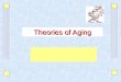 Theories of Aging. Copyright ©2010 by Pearson Education, Inc. Upper Saddle River, New Jersey 07458 All rights reserved. Gerontological Nursing, Second