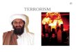TERRORISM. TERROR CELLS AROUND THE WORLD TERROR CELLS IN THE USA