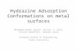 Hydrazine Adsorption Conformations on metal surfaces Mohammad Kemal Agusta, Wilson. A. Dino, Hiroshi Nakanishi, Hideaki Kasai Graduate School of Engineering