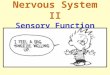 Nervous System II Sensory Function. The Senses Slide 8.1 Copyright © 2003 Pearson Education, Inc. publishing as Benjamin Cummings  General senses