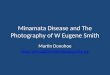 Minamata Disease and The Photography of W Eugene Smith Martin Donohoe 