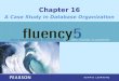 Chapter 16 A Case Study in Database Organization
