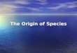 The Origin of Species. Topics To Be Covered Why is this issue important? Why is this issue important? Four views on this issue and their rationale Four
