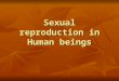 Sexual reproduction in Human beings. Learning outcomes Identify on diagrams of the male reproductive system and give the functions of testes, scrotum,