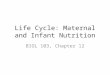Life Cycle: Maternal and Infant Nutrition BIOL 103, Chapter 12