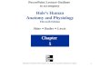 1 Hole’s Human Anatomy and Physiology Eleventh Edition Shier  Butler  Lewis Chapter 5 Copyright © The McGraw-Hill Companies, Inc. Permission required