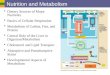 Nutrition and Metabolism  Dietary Sources of Major Nutrients  Basics of Cellular Respiration  Metabolism of Carbos, Fats, and Protein  Central Role