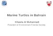 Marine Turtles in Bahrain Khawla Al Muhannadi President of Environment Friends Society