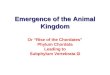 Emergence of the Animal Kingdom Or “Rise of the Chordates” Phylum Chordata Leading to Subphylum Vertebrata