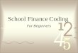 School Finance Coding For Beginners. Account Code Structure XXX-xx-xxxx-xx-xxx-x-xx-xxx