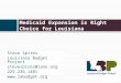 Medicaid Expansion is Right Choice for Louisiana Steve Spires Louisiana Budget Project stevespires@lano.org 225.236.1401 